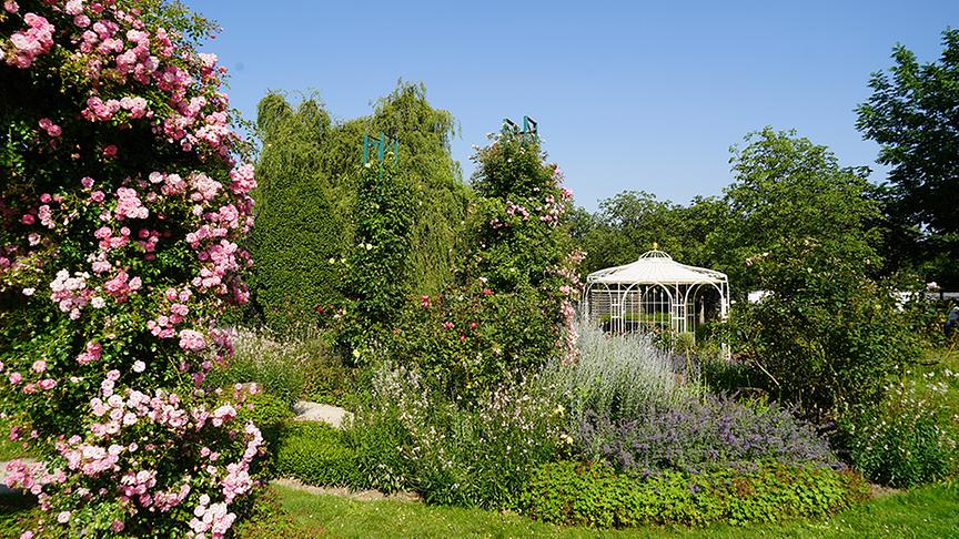 © Natur im Garten/ Leopold Mayrhofer Im Garten von Margit Baar