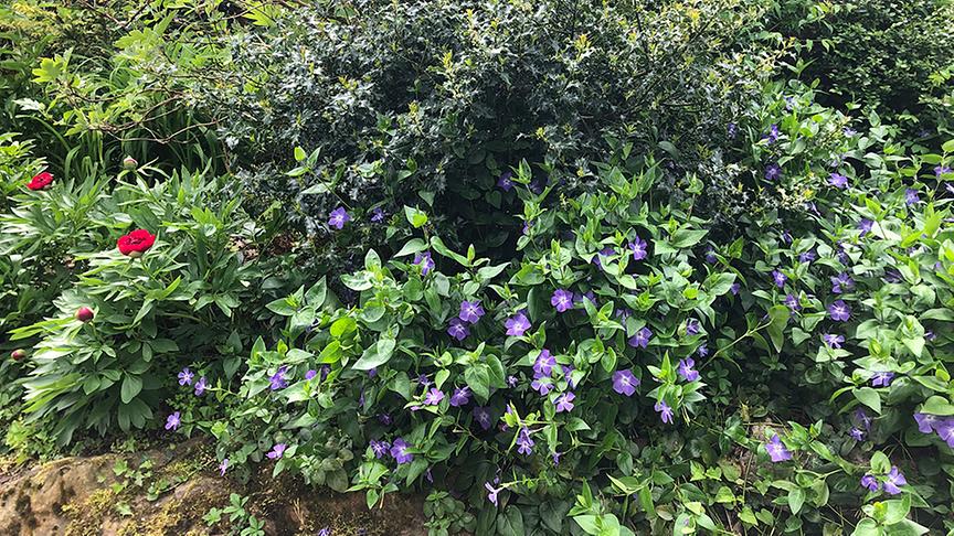 © Lena Weithofer/Talk TV Zu Besuch im Gastgarten