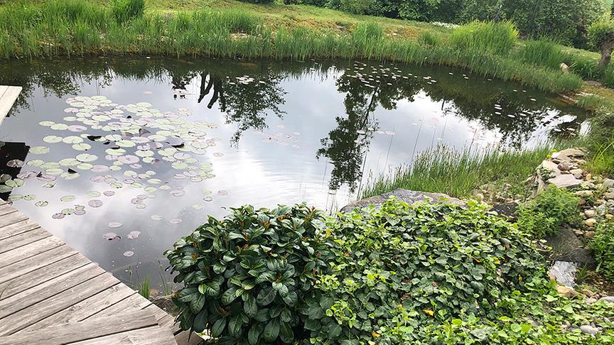 © Lena Weithofer/Talk TV Zu Besuch im Gastgarten
