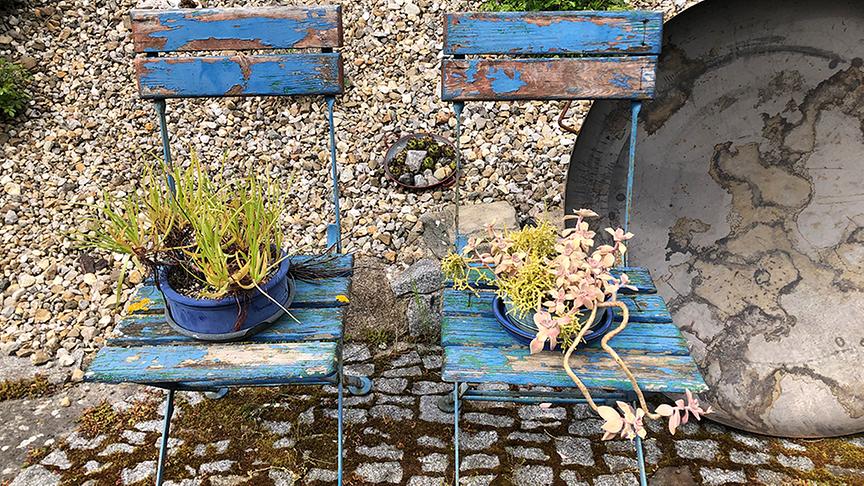 © Lena Weithofer/Talk TV Zu Besuch im Gastgarten