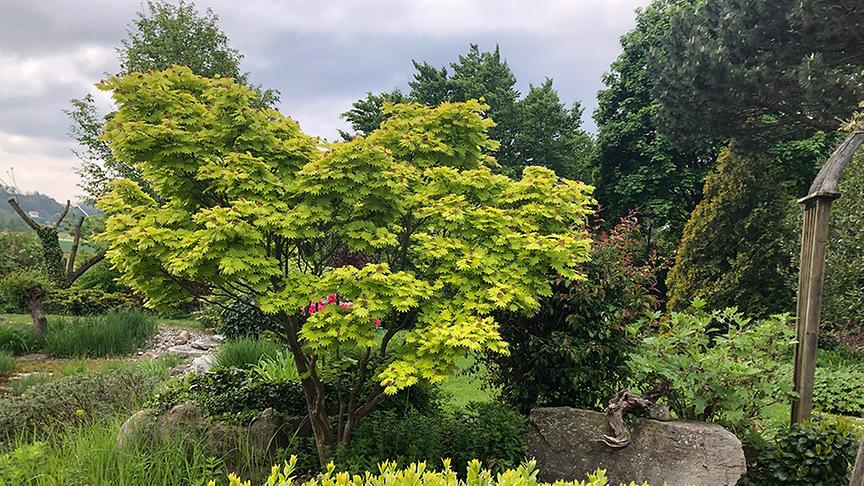 © Lena Weithofer/Talk TV Zu Besuch im Gastgarten