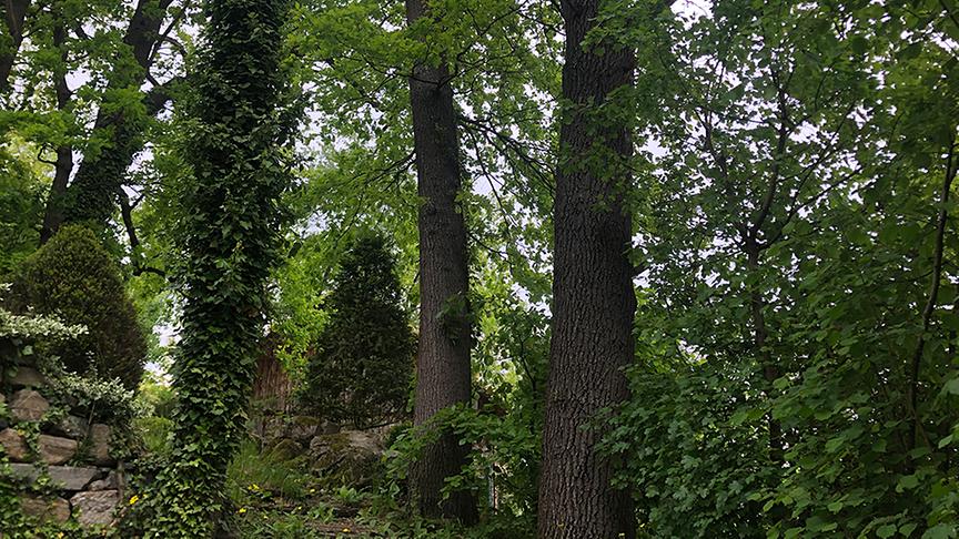 © Lena Weithofer/Talk TV Zu Besuch im Gastgarten