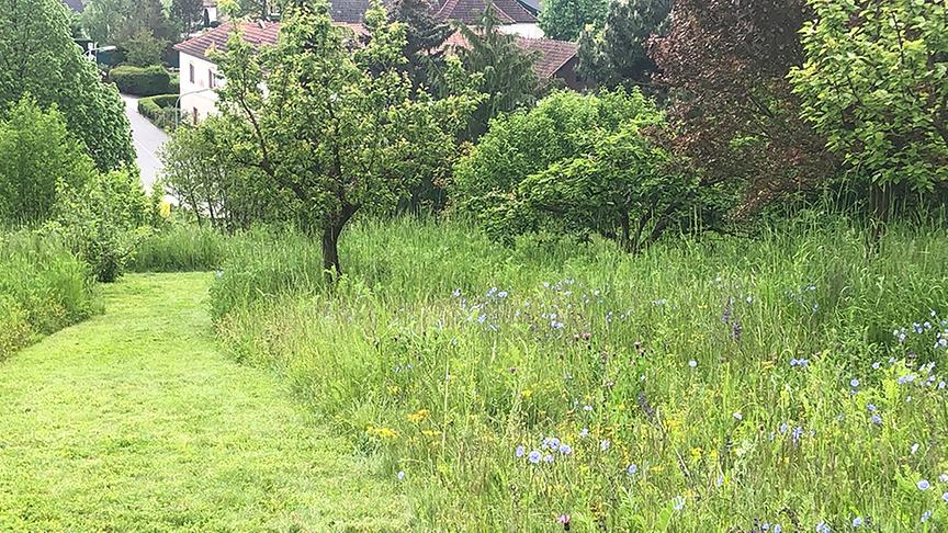 © Lena Weithofer/Talk TV Zu Besuch im Gastgarten