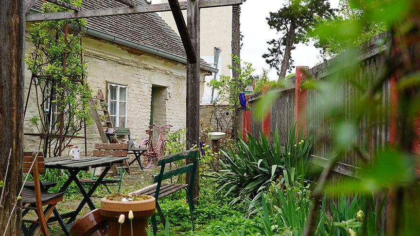 Im Garten von Martina Pürkl