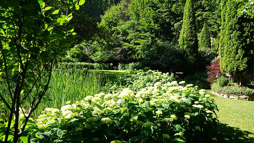 Der Garten von Ingrid und Alexander Moser