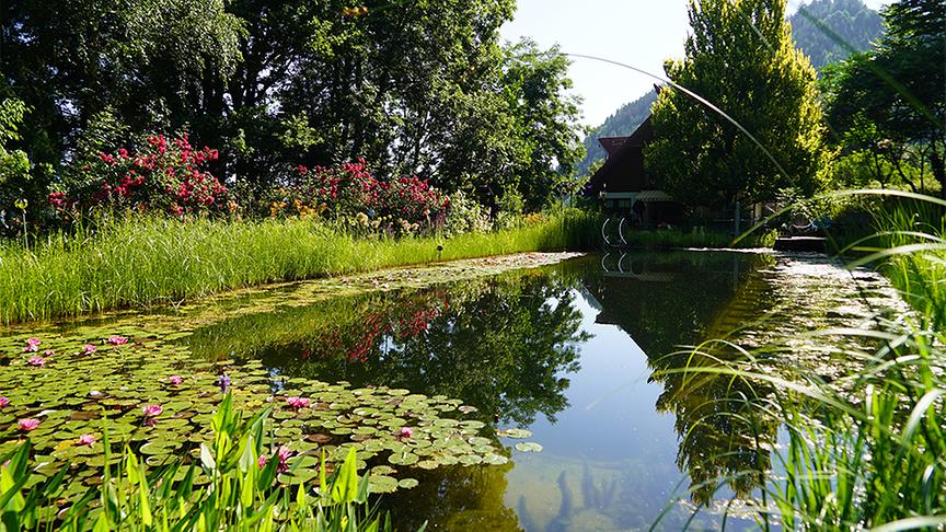 Der Garten von Ingrid und Alexander Moser