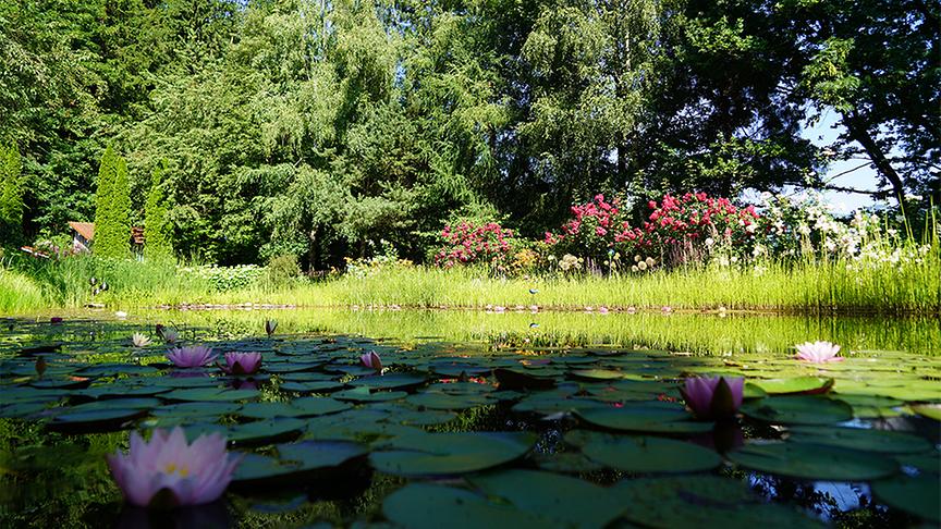 Der Garten von Ingrid und Alexander Moser