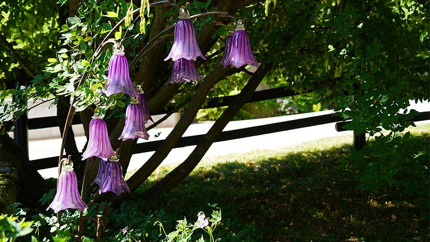 Der Garten von Ingrid und Alexander Moser