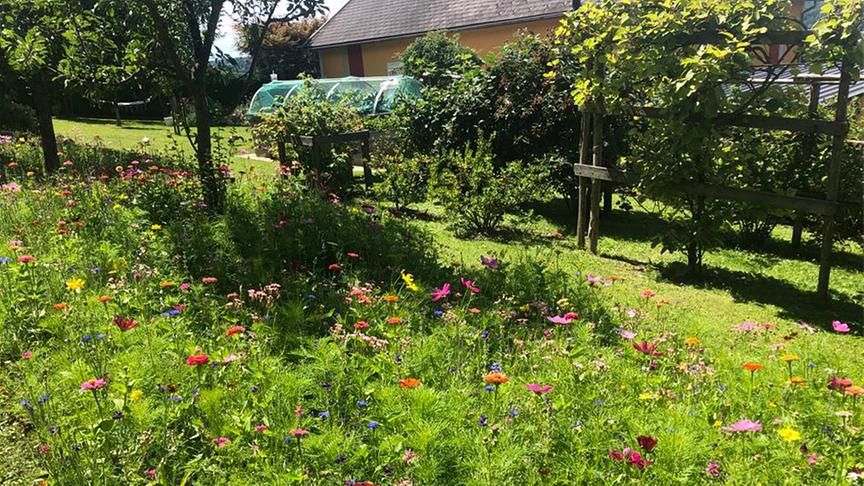 © Lena Weithofer/Talk TV Der Gastgarten von Frau Notter.