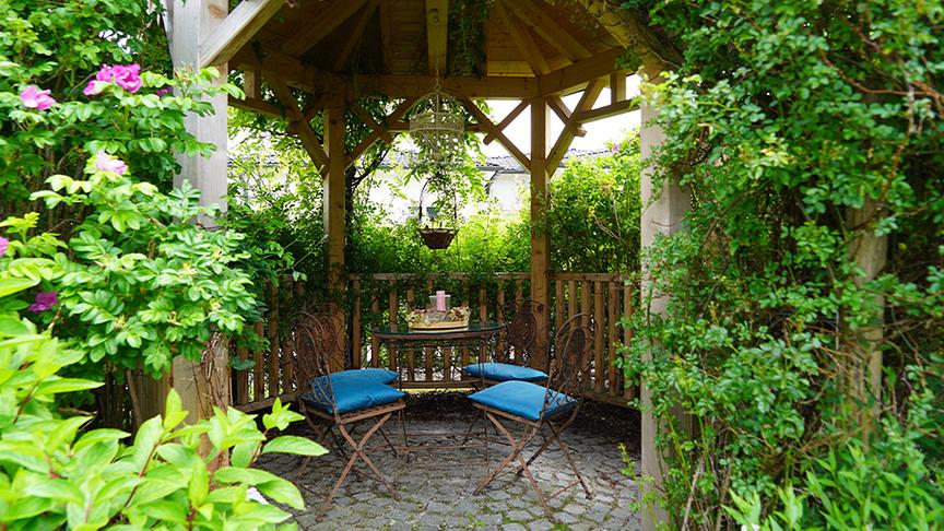 Zu Besuch im Garten von Petra und Dominik Steinbichler