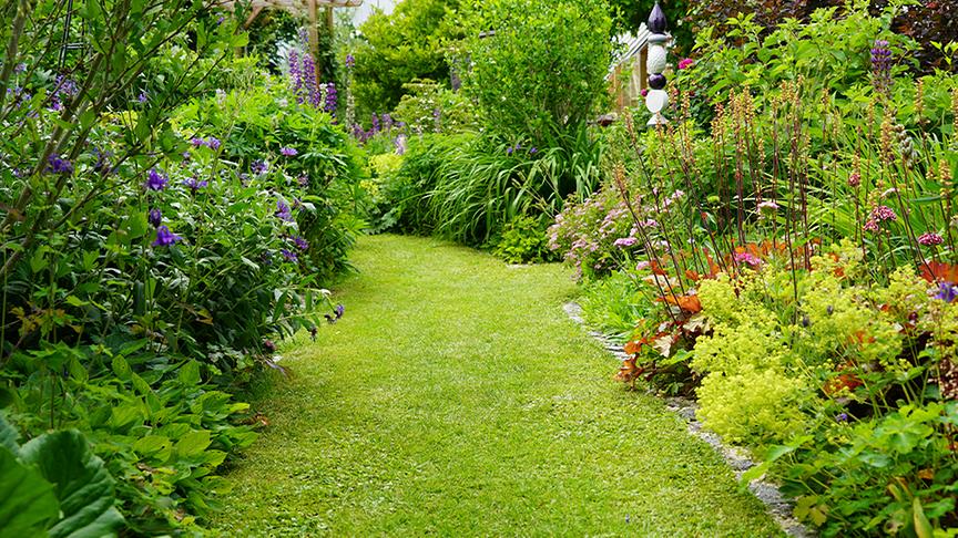 Zu Besuch im Garten von Petra und Dominik Steinbichler
