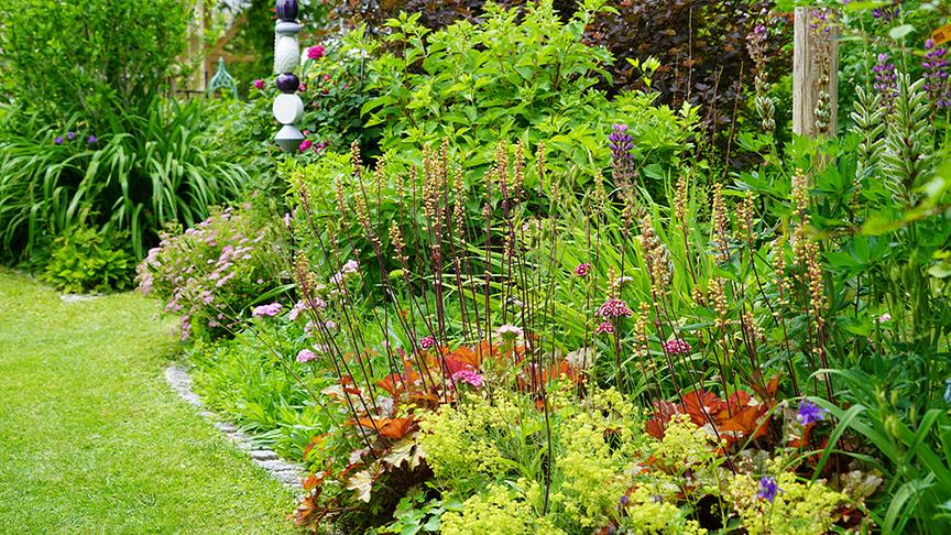 Zu Besuch im Garten von Petra und Dominik Steinbichler