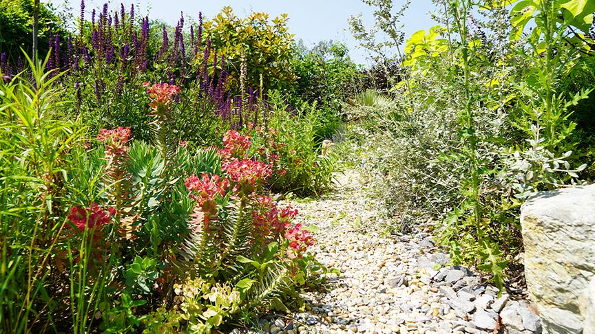 © Foto: Natur im Garten/ Leopold Mayrhofer "Lotto 6 aus 45"-Moderator und Gartenjournalist Ralph Huber-Blechinger zeigt seinen Garten.