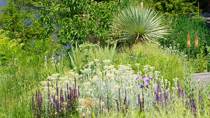 © Foto: Natur im Garten/ Leopold Mayrhofer "Lotto 6 aus 45"-Moderator und Gartenjournalist Ralph Huber-Blechinger zeigt seinen Garten.