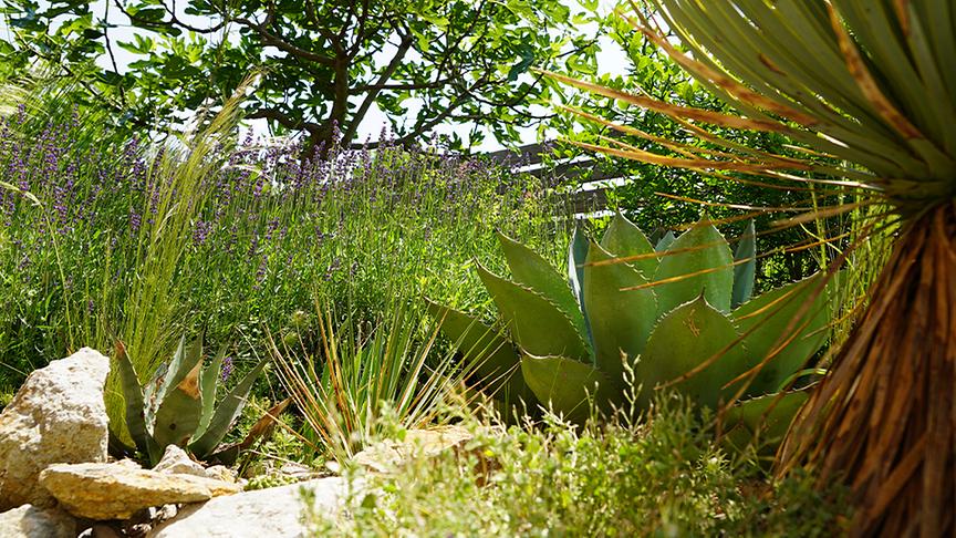 © Foto: Natur im Garten/ Leopold Mayrhofer "Lotto 6 aus 45"-Moderator und Gartenjournalist Ralph Huber-Blechinger zeigt seinen Garten.