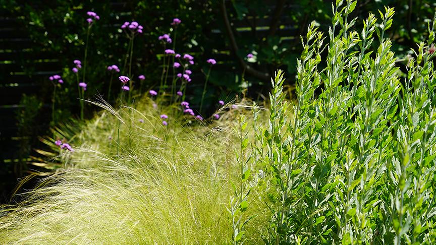 © Foto: Natur im Garten/ Leopold Mayrhofer "Lotto 6 aus 45"-Moderator und Gartenjournalist Ralph Huber-Blechinger zeigt seinen Garten.