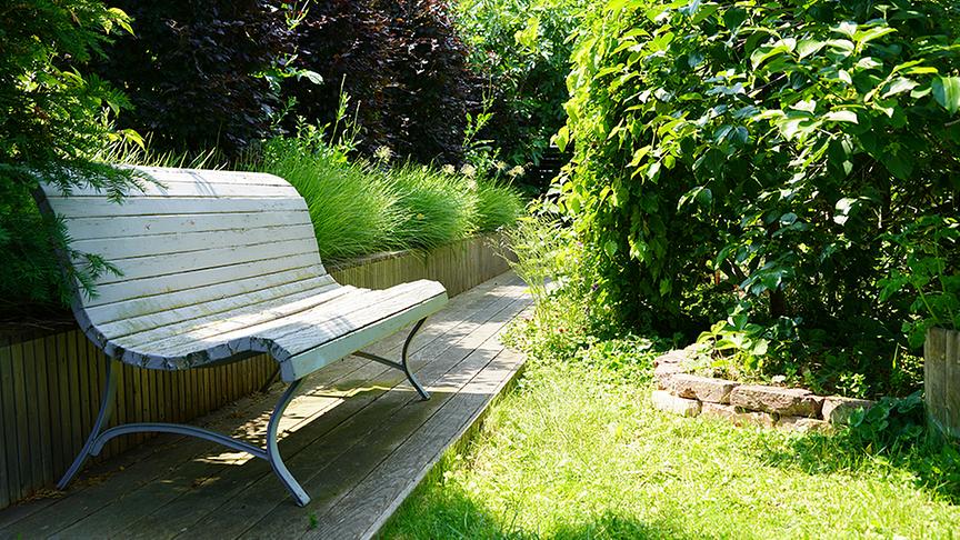 © Foto: Natur im Garten/ Leopold Mayrhofer "Lotto 6 aus 45"-Moderator und Gartenjournalist Ralph Huber-Blechinger zeigt seinen Garten.