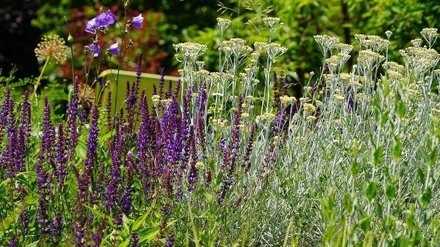 © Foto: Natur im Garten/ Leopold Mayrhofer "Lotto 6 aus 45"-Moderator und Gartenjournalist Ralph Huber-Blechinger zeigt seinen Garten.