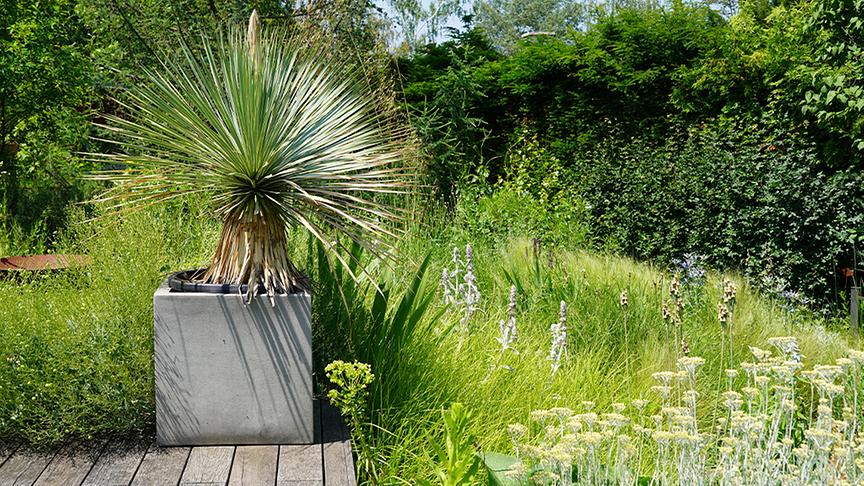 © Foto: Natur im Garten/ Leopold Mayrhofer "Lotto 6 aus 45"-Moderator und Gartenjournalist Ralph Huber-Blechinger zeigt seinen Garten.