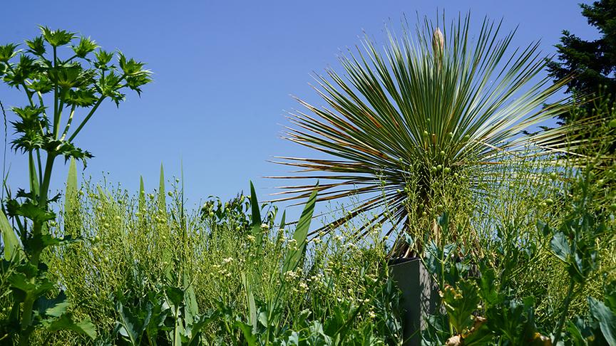 © Foto: Natur im Garten/ Leopold Mayrhofer "Lotto 6 aus 45"-Moderator und Gartenjournalist Ralph Huber-Blechinger zeigt seinen Garten.