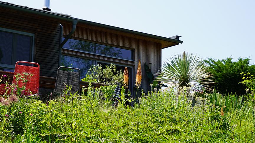 © Foto: Natur im Garten/ Leopold Mayrhofer "Lotto 6 aus 45"-Moderator und Gartenjournalist Ralph Huber-Blechinger zeigt seinen Garten.