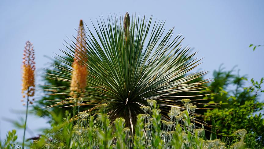 © Foto: Natur im Garten/ Leopold Mayrhofer "Lotto 6 aus 45"-Moderator und Gartenjournalist Ralph Huber-Blechinger zeigt seinen Garten.