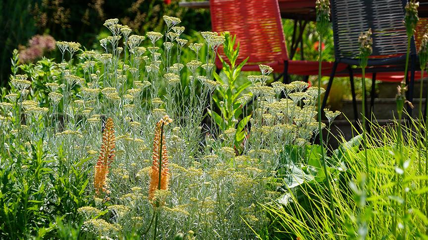© Foto: Natur im Garten/ Leopold Mayrhofer "Lotto 6 aus 45"-Moderator und Gartenjournalist Ralph Huber-Blechinger zeigt seinen Garten.