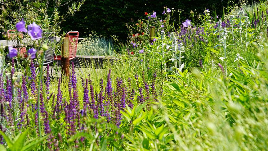 © Foto: Natur im Garten/ Leopold Mayrhofer "Lotto 6 aus 45"-Moderator und Gartenjournalist Ralph Huber-Blechinger zeigt seinen Garten.