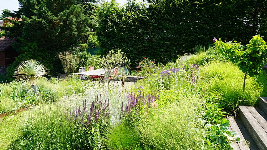© Foto: Natur im Garten/ Leopold Mayrhofer "Lotto 6 aus 45"-Moderator und Gartenjournalist Ralph Huber-Blechinger zeigt seinen Garten.