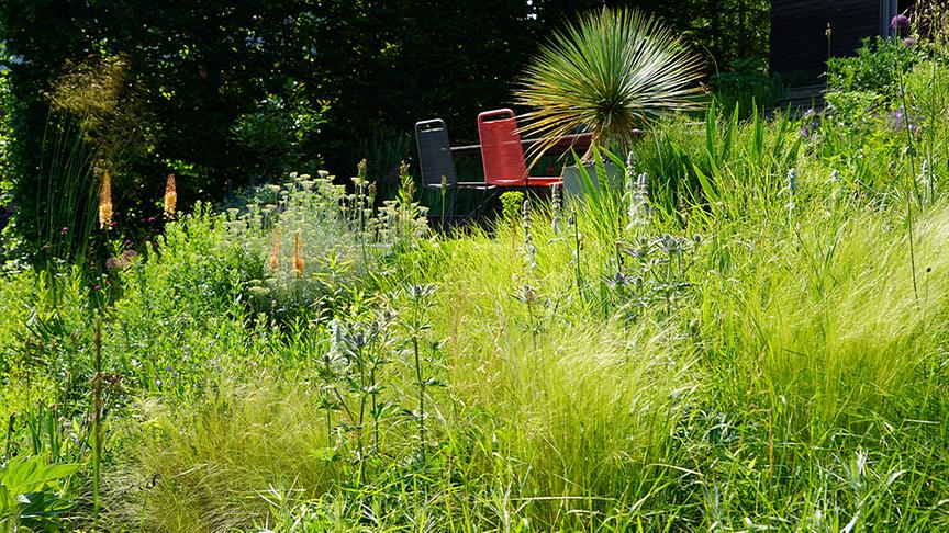 © Foto: Natur im Garten/ Leopold Mayrhofer "Lotto 6 aus 45"-Moderator und Gartenjournalist Ralph Huber-Blechinger zeigt seinen Garten.