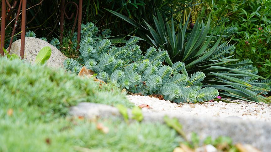 © Foto: Leopold Mayrhofer Im Garten von Renate Brunner