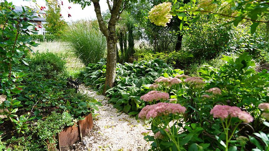 © Foto: Leopold Mayrhofer Im Garten von Renate Brunner