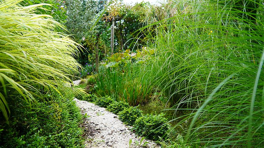 © Foto: Leopold Mayrhofer Im Garten von Renate Brunner