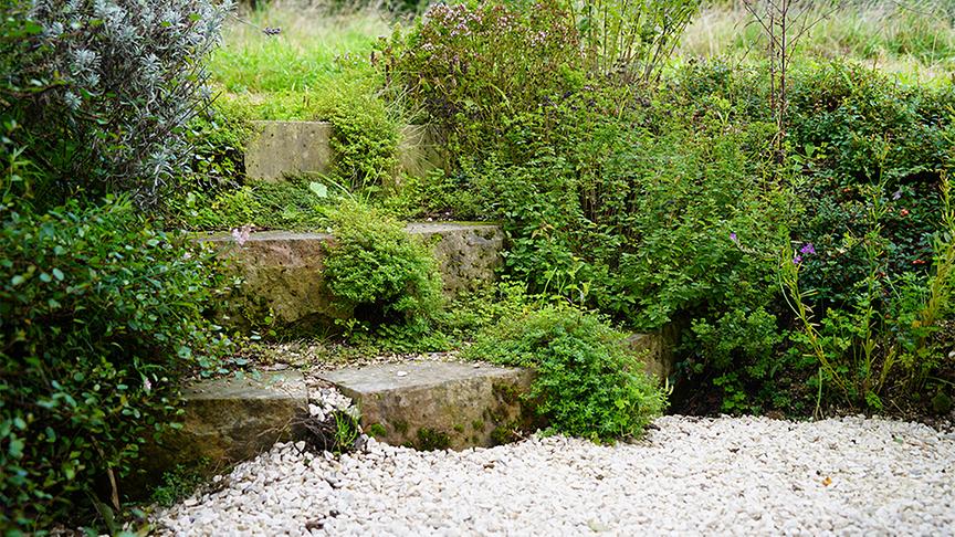 © Foto: Leopold Mayrhofer Im Garten von Renate Brunner