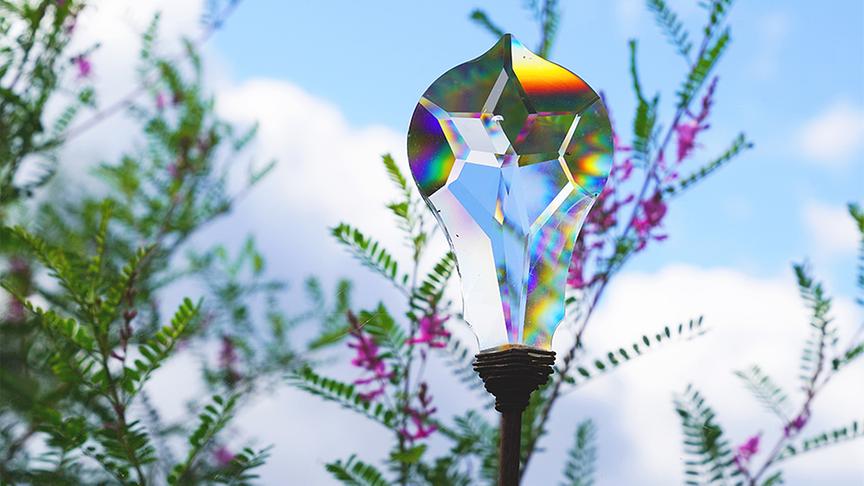 © Foto: Leopold Mayrhofer Im Garten von Renate Brunner