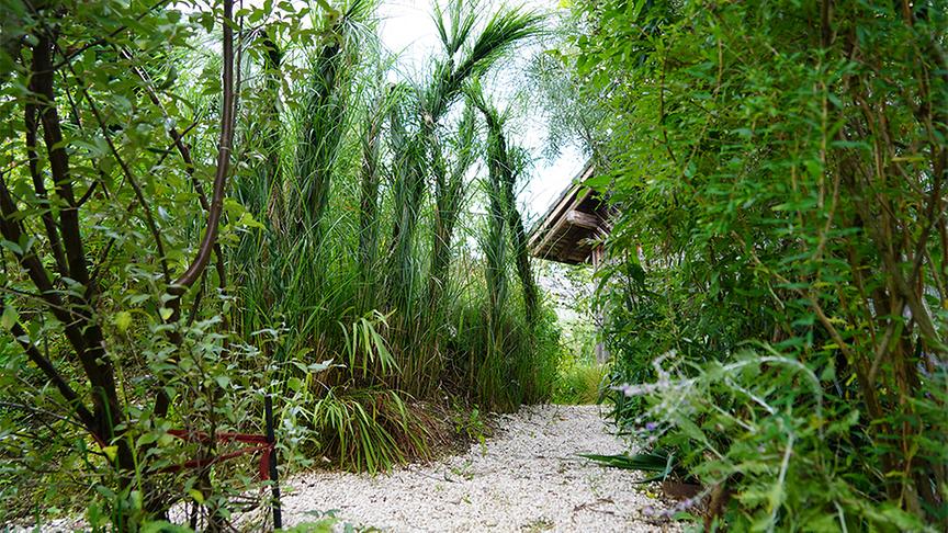 © Foto: Leopold Mayrhofer Im Garten von Renate Brunner