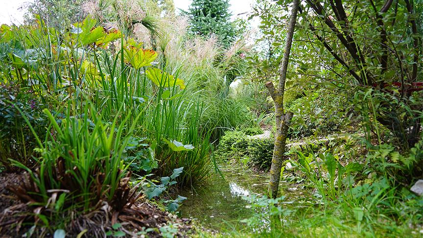© Foto: Leopold Mayrhofer Im Garten von Renate Brunner