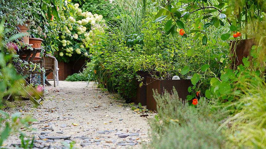 Im Garten von Renate Brunner