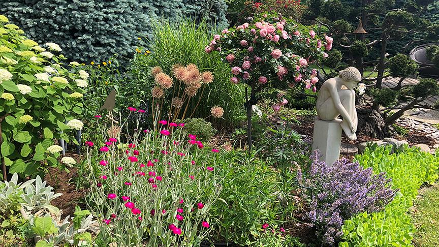 Im Garten von Renate Rossegger