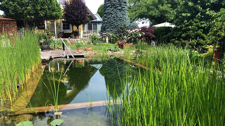 Im Garten von Renate Rossegger