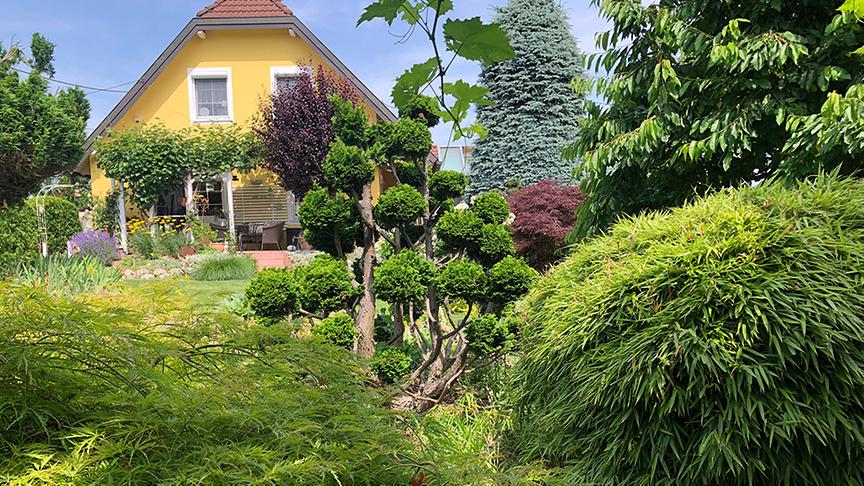 Im Garten von Renate Rossegger