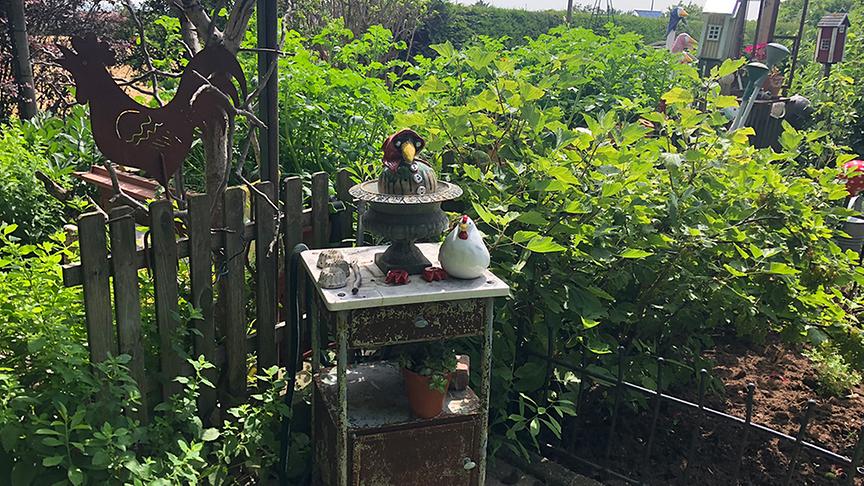 Im Garten von Renate Rossegger