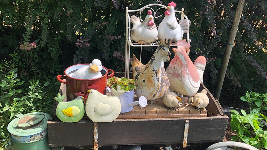 Im Garten von Renate Rossegger