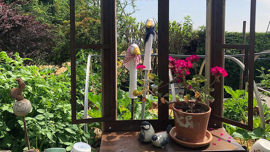 Im Garten von Renate Rossegger