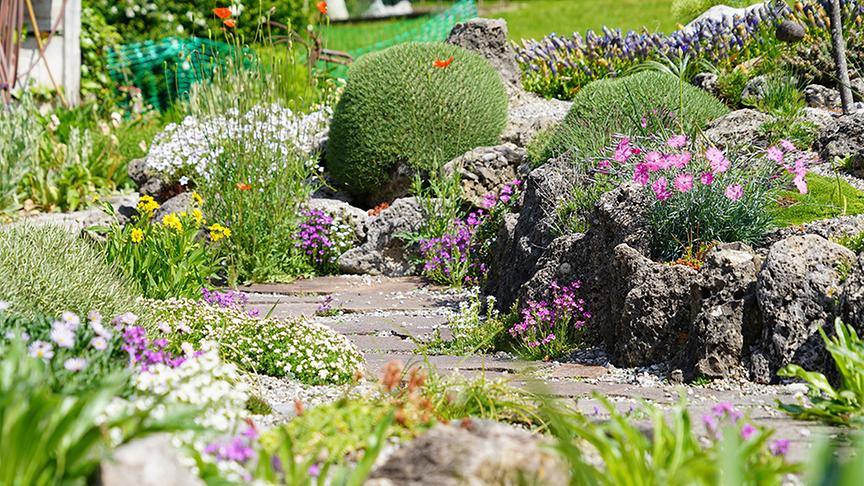 Im alpinen Garten von Christine und Josef Riedmann.