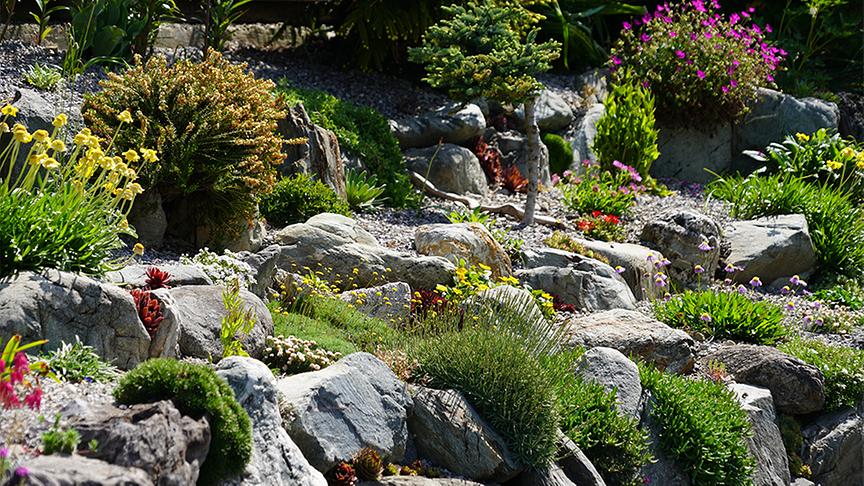 Im alpinen Garten von Christine und Josef Riedmann.
