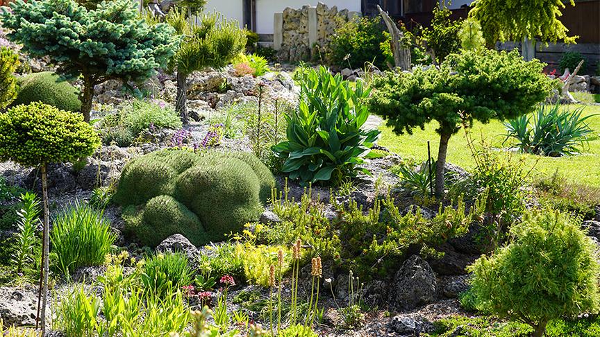 Im alpinen Garten von Christine und Josef Riedmann.