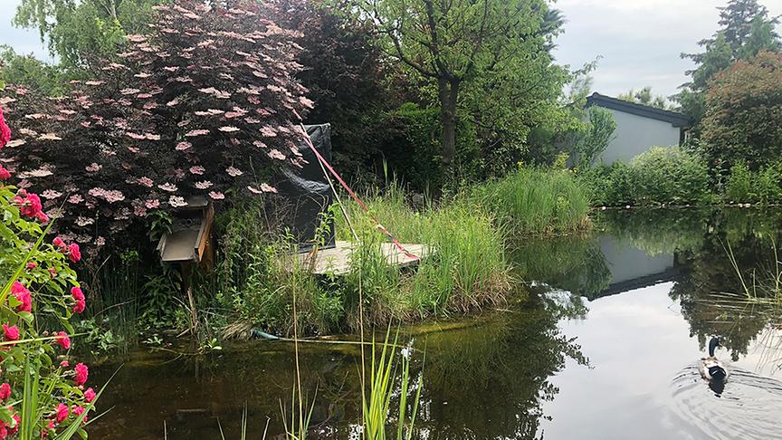 Zu Besuch in Sabine Martinis Garten