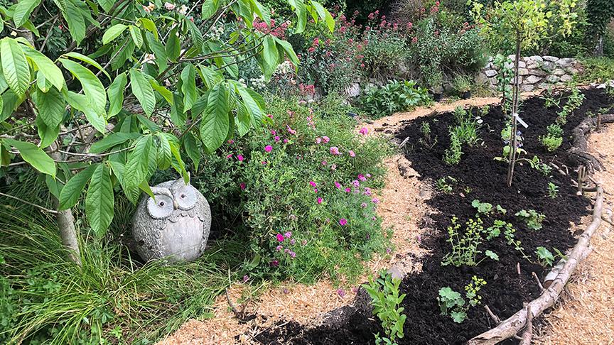 Zu Besuch in Sabine Martinis Garten