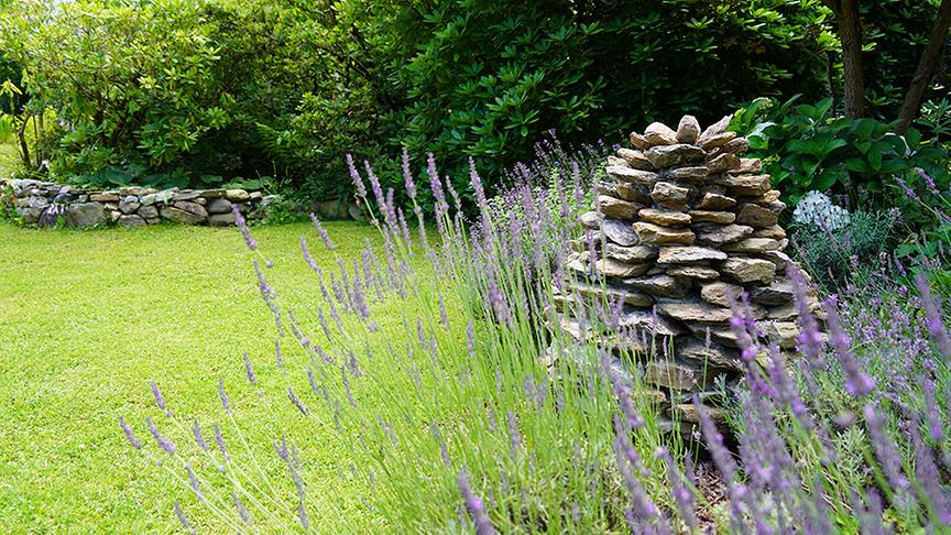 © Leopold Mayrhofer/Natur im Garten Im Garten von Kristin Seifert und Gerd Oblak.